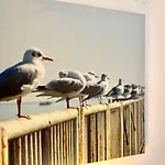 Dhh 